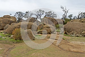 Wave Rock