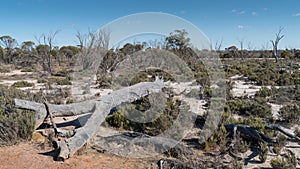 Wave Rock, Western Australia