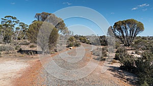 Wave Rock, Western Australia