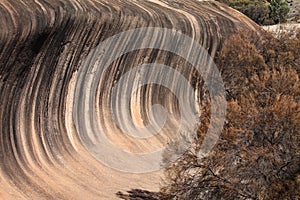 Wave Rock in Western Australia with trees