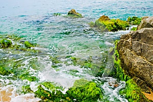 Wave rolls over rock on the beach covered with seaweed at low tide covered. Costa Brava, Spain