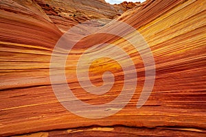 The Wave sandstone formation in Arizona