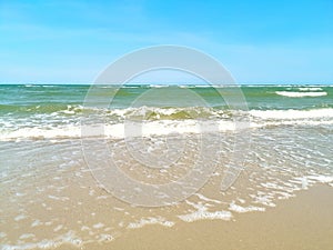 Wave and sandy beach of the sea
