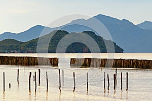 Wave shields in the sea made of bamboo