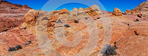 The Wave Vermillion Cliffs Arizona USA