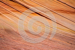 The Wave Vermillion Cliffs Arizona USA