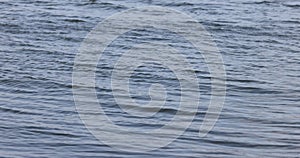 a wave on the water surface in sunny weather