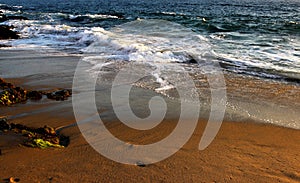 Wave with white foam on a wild ocean beach at sunset.