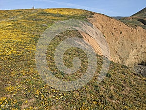 Wavecrest open space preserve