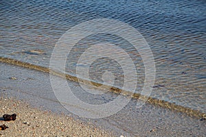 Wavelet on the beach