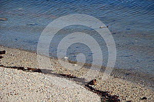 Wavelet on the beach