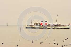 Waverley paddle steamer