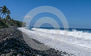 Waves attack the stony beach, and sea water spills over the beach`s edge. Palm trees and tropical vegetation line the coast of the