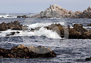 Waves background on Asilomar State Beach, Pacific Grove near Monterey, California, US
