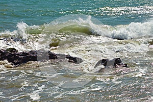 Waves beating against coastal rocks on the cliffs