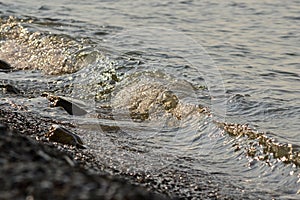 Waves in a Black Sea