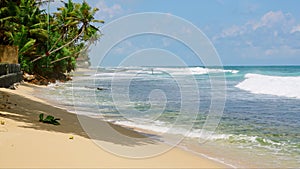 Waves break on sandy tropical beach, rich green palms line coast against blue sky. Clear sunny day, natural seaside