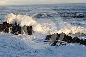 Waves breaking and crushing on the rocks on the Atlantic Ocean on coastline and seashore of Madeira Island , Portugal