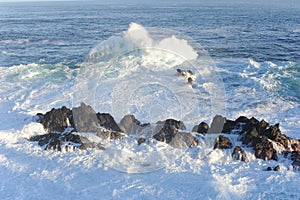 Waves breaking and crushing on the rocks on the Atlantic Ocean on coastline and seashore of Madeira Island , Portugal