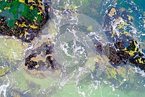 waves breaking on mossy rocks on the shore of a beach, overhead view with drone