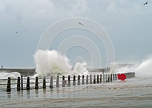 Waves Breaking at Newhaven Harbour photo