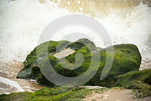 Waves breaking on the stone covered with seaweed