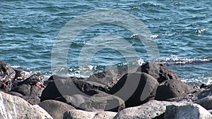 Waves on coast Galapagos Islands.