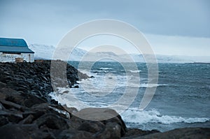 Waves at the coast of Hrisey in Iceland