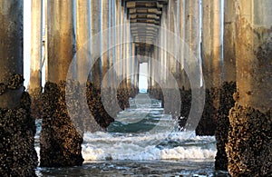 Waves and Columns at Sunrise under the Pier, Huntington Beach, Southern California