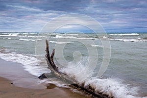 Waves Crashing Against Driftwood