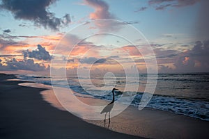 Empty beach at sunsent