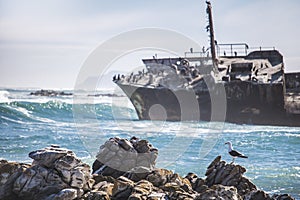 Waves crashing by a rusted old shipwreck. Home to Cormorants, sea gulls and other birds.