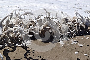 Waves Crashing with Sea Foam