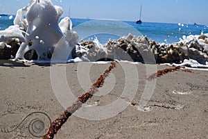 Waves Crashing with Sea Foam