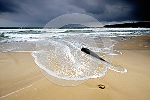 Waves flooding the beach