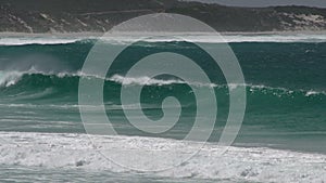 Waves and a group dolphins at Twilight Beach in Great Ocean Drive, Esperance, Western Australia