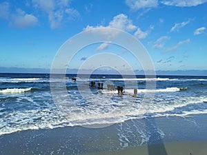 Waves and groynes at the shore