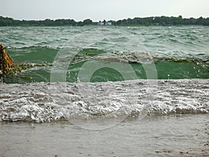 Waves on the lake with algae in the water and bubbles