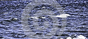 Waves on Lake Hefner in Oklahoma City