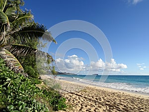 Waves lap on Sandy Waimanalo Beach