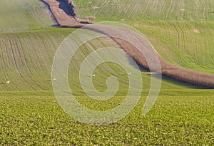 Waves Moravian Tuscany Czech Republic