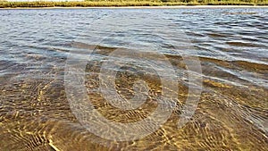 The waves of the river roll on the sandy beach, sunny day