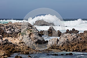 Waves and Rocky Coast in Monterey Bay, California