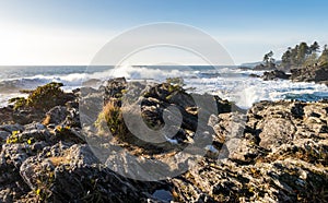 Waves on the rocky coast of Vancouver Island