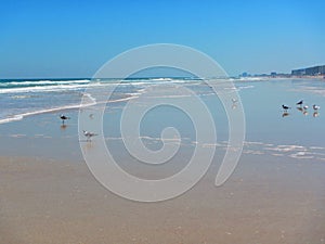 Waves rolling in Daytona Beach, Florida