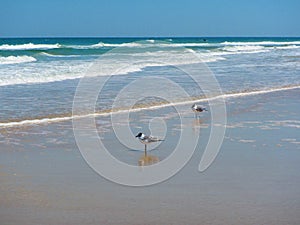 Waves rolling in Daytona Beach, Florida