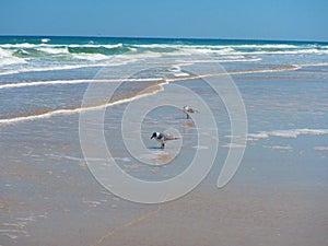 Waves rolling in Daytona Beach, Florida