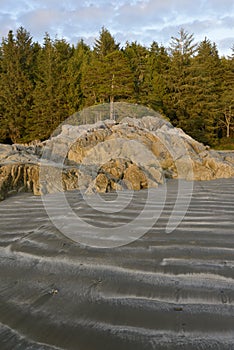 Waves in sand in front of an old growth forest, Tonquin Beach