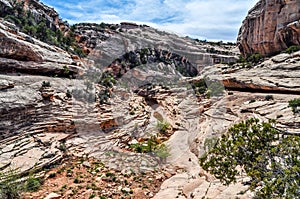 Waves of Sandstone in a Utah Gorge