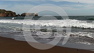 Waves On Sandy Beach With Birds Flying Marin California